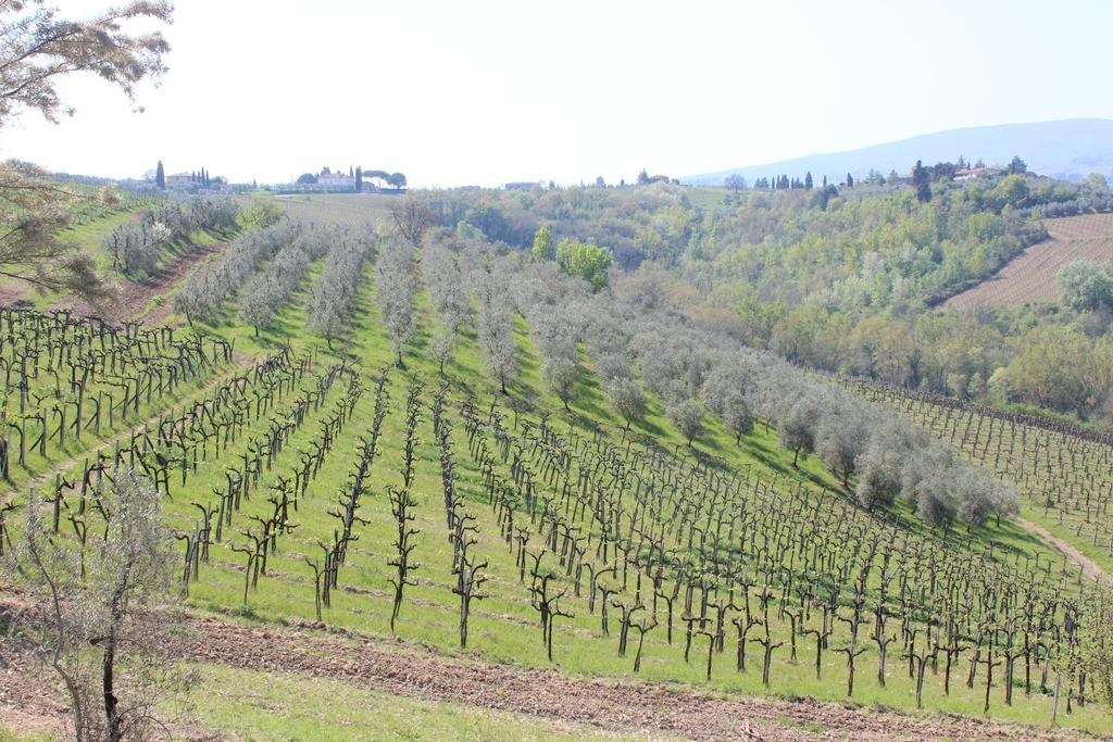 Bio Agriturismo Podere Pretoia ซานจีมิญญาโน ภายนอก รูปภาพ
