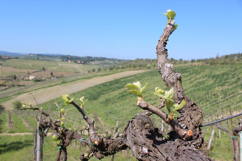 Bio Agriturismo Podere Pretoia ซานจีมิญญาโน ภายนอก รูปภาพ