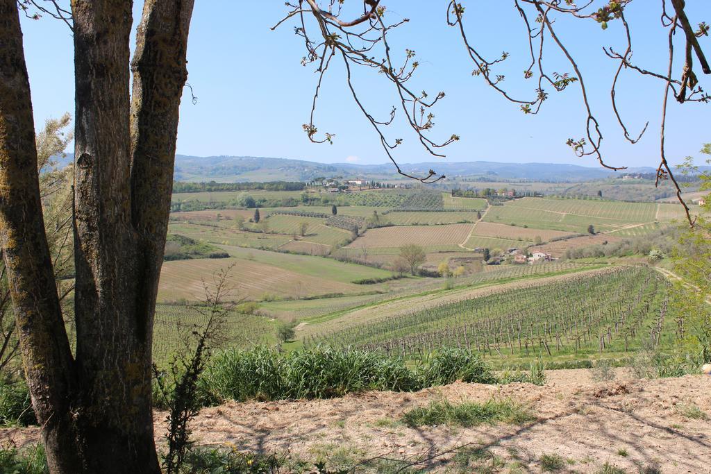Bio Agriturismo Podere Pretoia ซานจีมิญญาโน ภายนอก รูปภาพ